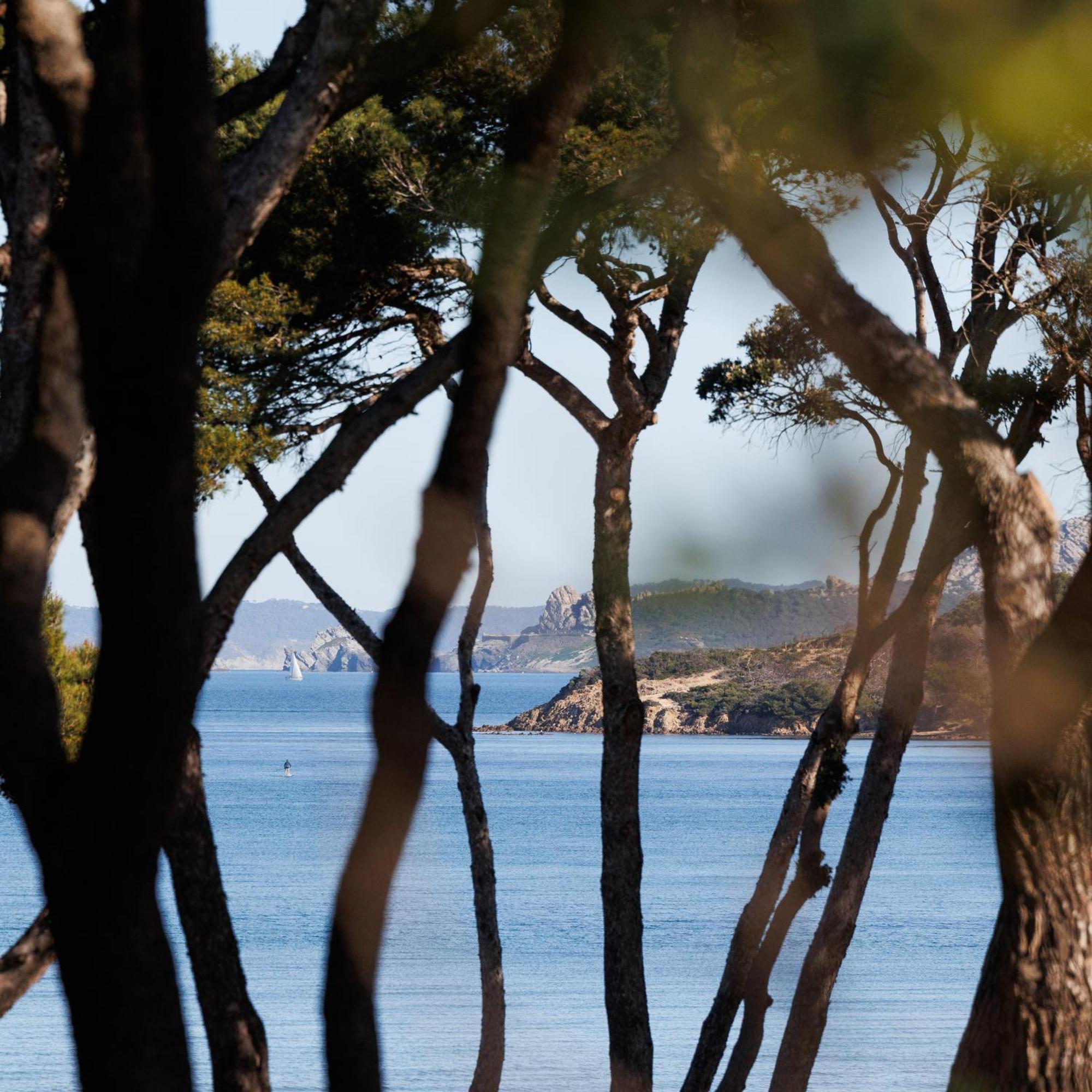 Le Domaine De La Mer - Beach Hotel Nature&Authenticite 耶尔 外观 照片